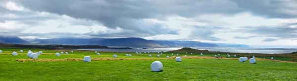 Paesaggio rurale islandese . — Foto Stock