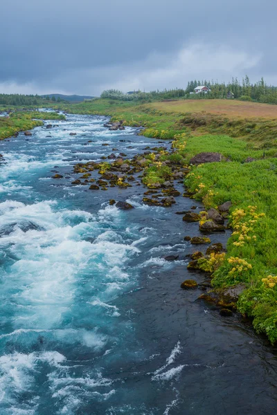 Paysage de la banquise d'été avec ... — Photo