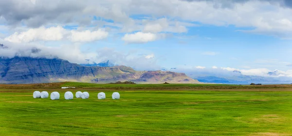 IJslandse landschap. — Stockfoto