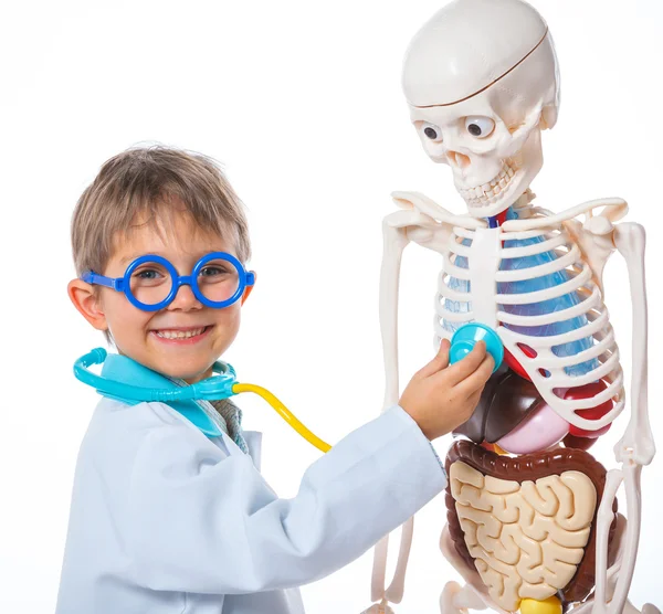 Little doctor with skeleton — Stock Photo, Image