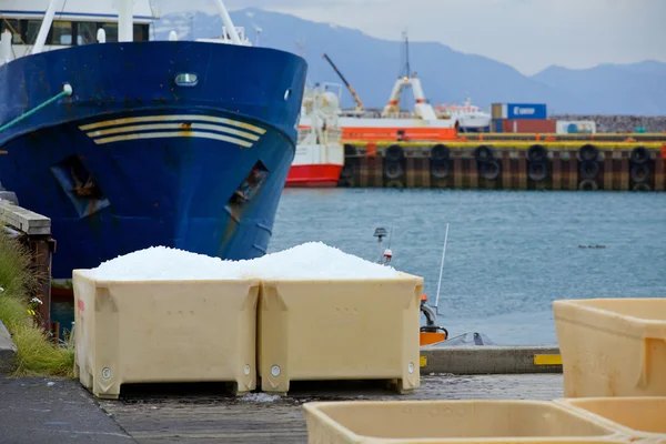 Fisch in Containern — Stockfoto