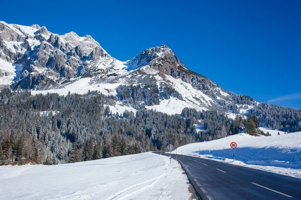 Асфальтовая дорога среди снега — стоковое фото