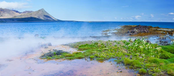 Hot geothermal spring. — Stock Photo, Image