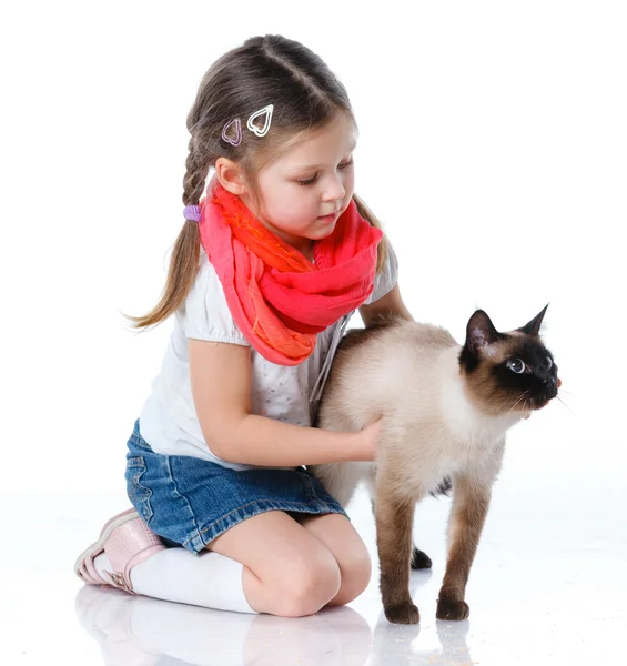 Маленькая девочка и кошка — стоковое фото