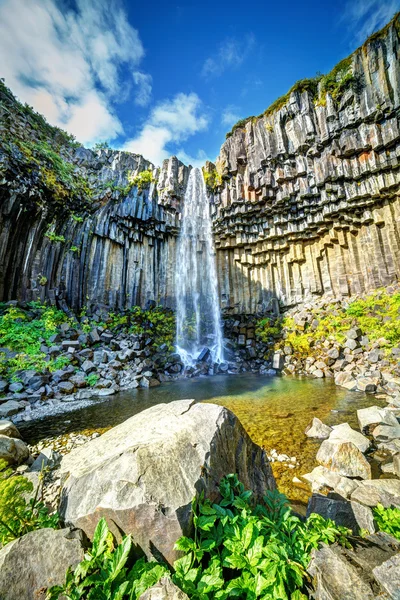 Svartifoss - chute noire . — Photo