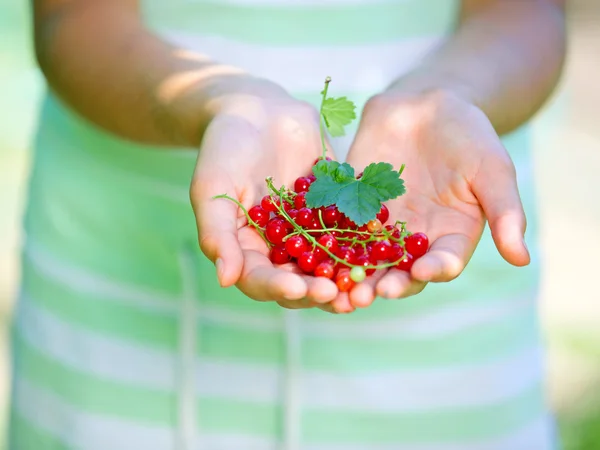 Red currant in girl hands — Stock Photo, Image