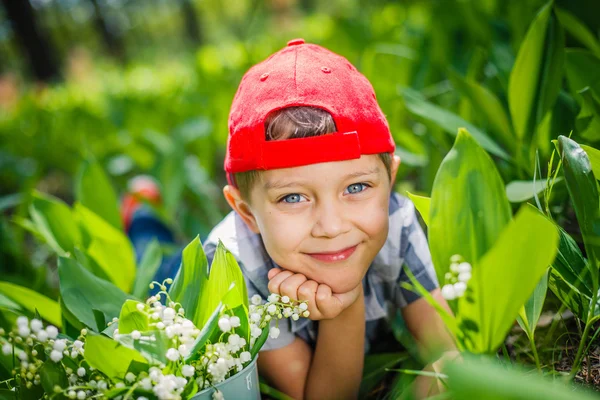 Primavera na floresta — Fotografia de Stock