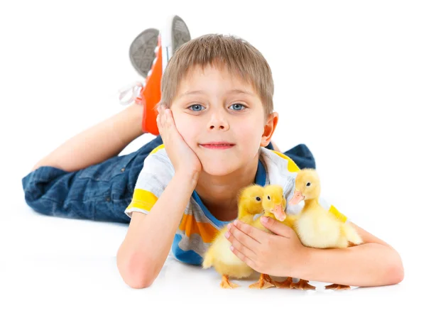 Menino com patinhos bonitos — Fotografia de Stock