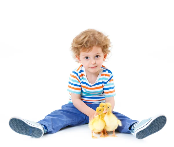 Boy with cute ducklings — Stock Photo, Image