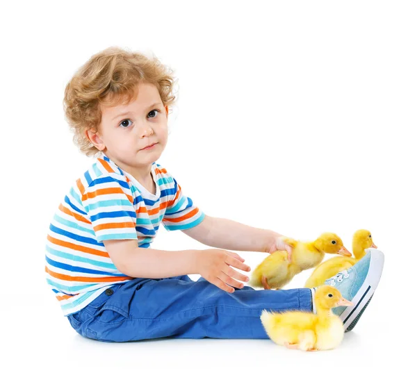 Menino com patinhos bonitos — Fotografia de Stock