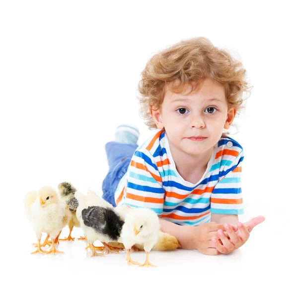 Garçon avec des poulets mignons — Photo