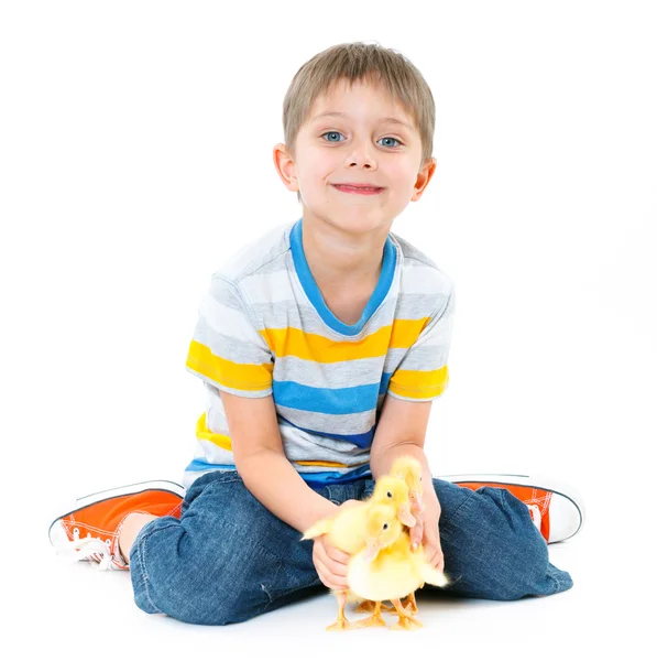 Хлопчик з милими курчатами — стокове фото