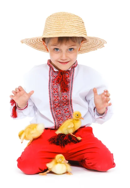 Boy with cute ducklings — Stock Photo, Image