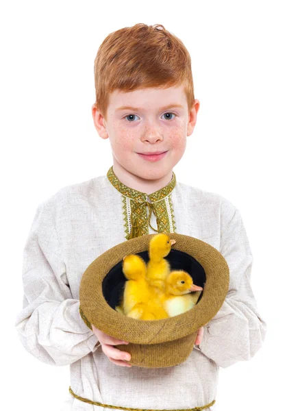 Boy with cute ducklings — Stock Photo, Image