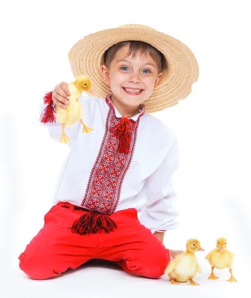 Boy with cute ducklings — Stock Photo, Image