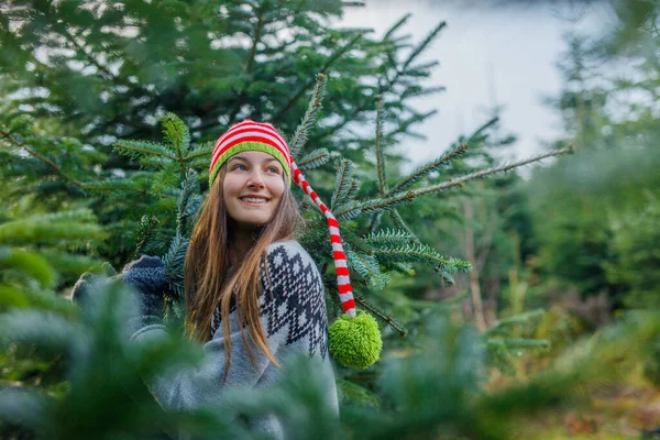 Kültéri Boldog Család Kiválasztása Karácsonyfa Együtt — Stock Fotó
