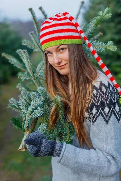 Família feliz ao ar livre escolhendo árvore de Natal juntos — Fotografia de Stock