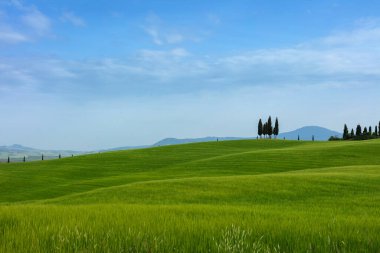 Toskana 'da. Manzara, tepeler ve çayır Toscana İtalya