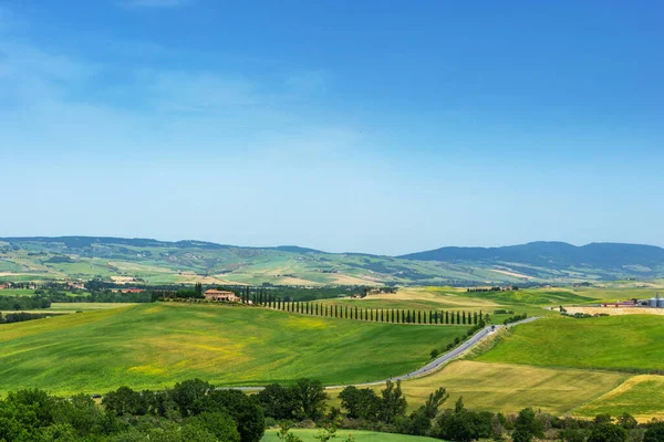 Toskania Widok Krajobraz Wzgórza Łąka Toscana Włochy — Zdjęcie stockowe