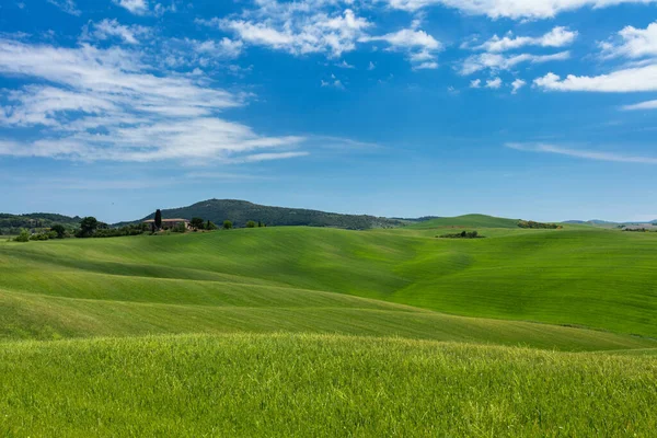 Toskania Widok Krajobraz Wzgórza Łąka Toscana Włochy — Zdjęcie stockowe