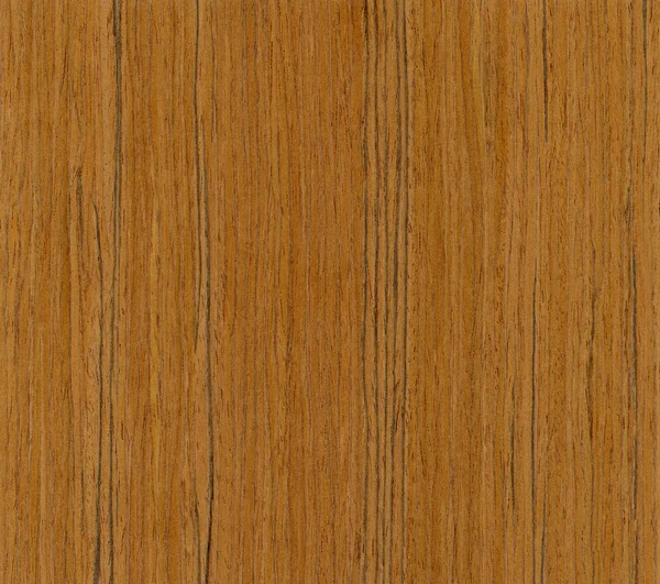 Textura de madera de teca — Foto de Stock