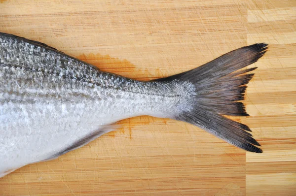 Frischer Fisch — Stockfoto