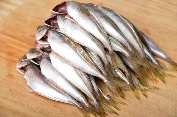 Frischer Fisch — Stockfoto