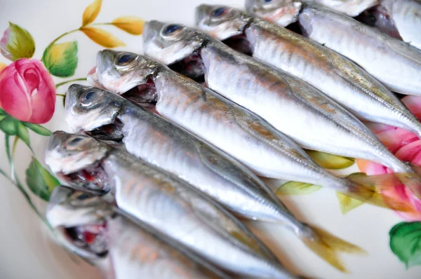 Fresh fish — Stock Photo, Image