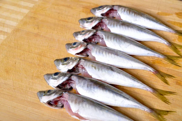 Frischer Fisch — Stockfoto