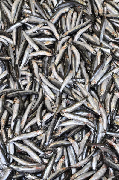 Mercado de pescado — Foto de Stock