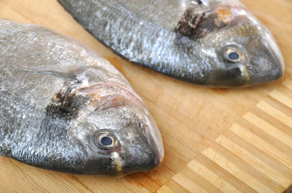 Frischer Fisch — Stockfoto