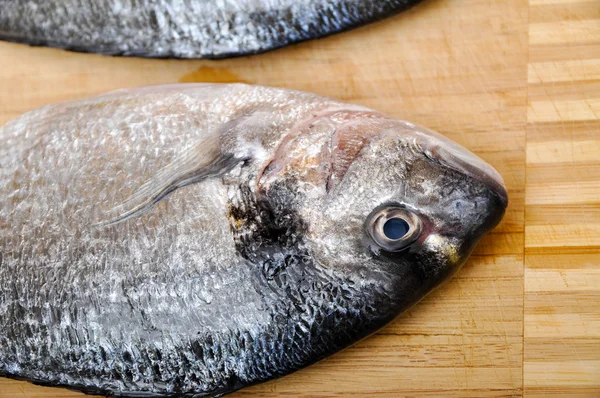 Färsk fisk — Stockfoto