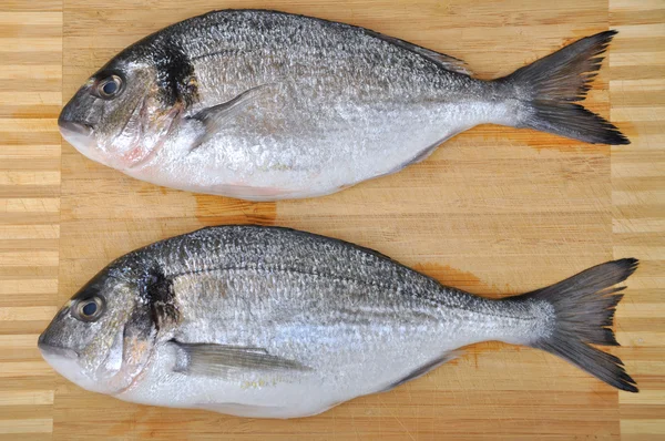 Frischer Fisch — Stockfoto