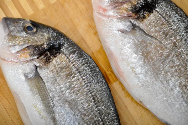 Frischer Fisch — Stockfoto