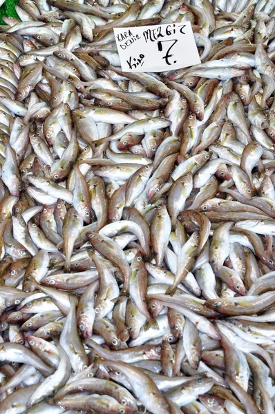 Mercado de pescado — Foto de Stock