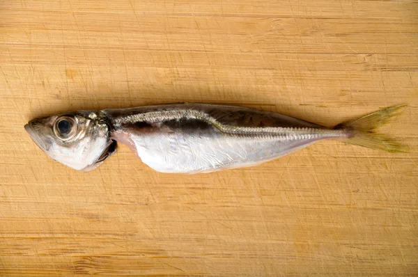Pește proaspăt — Fotografie, imagine de stoc