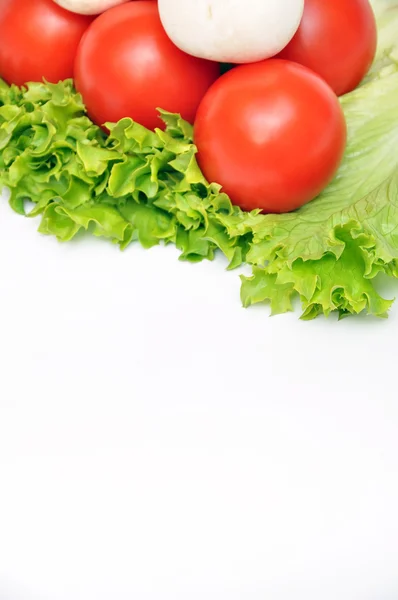 Fresh vegetables — Stock Photo, Image