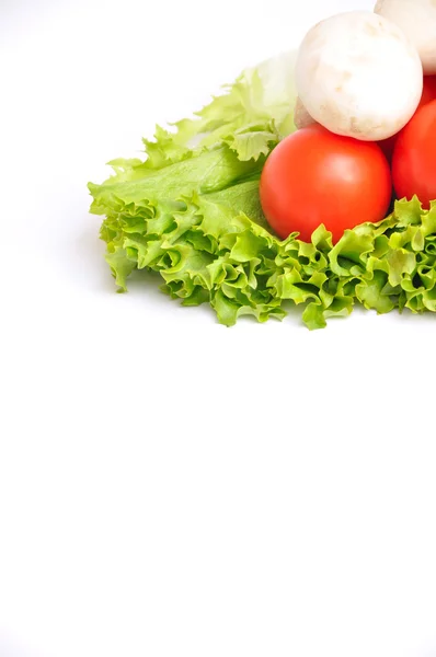 Fresh vegetables — Stock Photo, Image