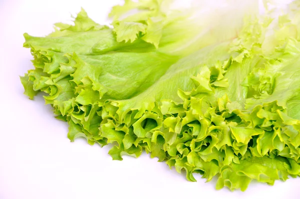 Lettuce bunch — Stock Photo, Image