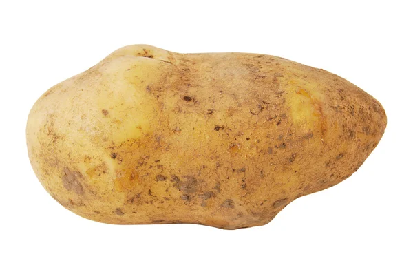 Potato — Stock Photo, Image