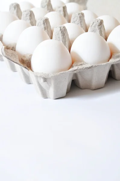 Ekologiska ägg — Stockfoto