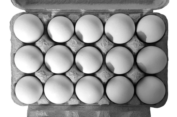 Органические яйца — стоковое фото