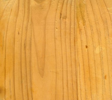 Fir wood texture clipart