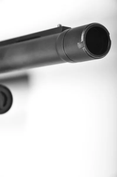 Shotgun — Stockfoto