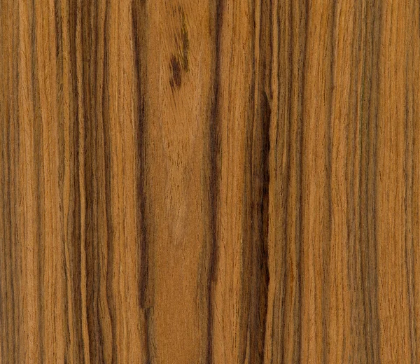 Тика текстури деревини — стокове фото