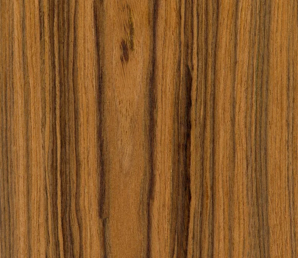 Teak wood texture — Stock Photo, Image