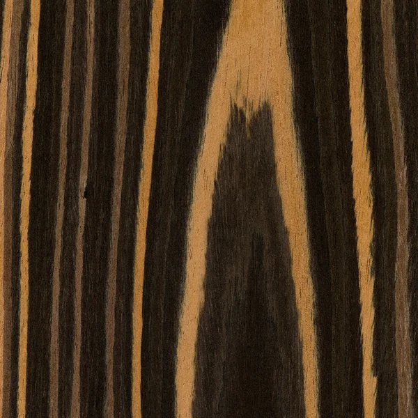 Ebony wood texture — Stock Photo, Image