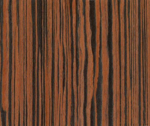 Ebony wood texture — Stock Photo, Image