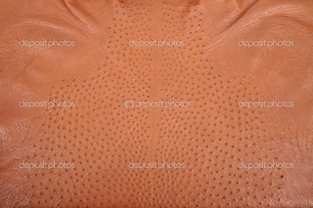 Green ostrich leather Stock Photo by ©jurajkovac 9252105