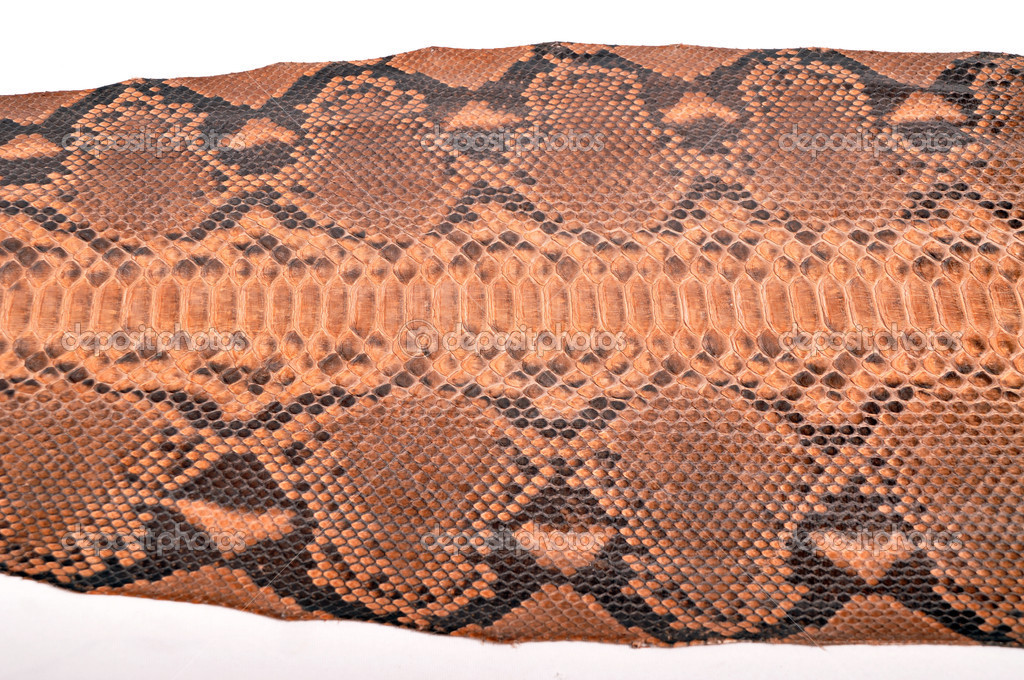 Python leather
